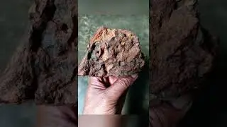 METEORITE COLLECTOR.