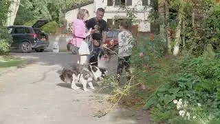 Pension canine en Normandie