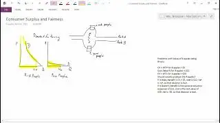 Intermediate Microeconomics: Consumer Surplus does not reflect Justice