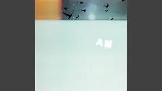 Be Your Own