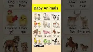 Baby Animals in English || Improve Your Spoken English || English Speaking Practice 💯