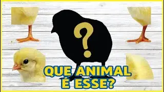 Quebra-cabe&ccedil;a Animais Sombras e Sons - Vaca Cavalo Porco Ovelha Galinha Pinto - Estimula&ccedil;&atilde;o Infantil