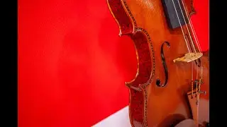 Cremona Musica 2019 - Official Aftermovie