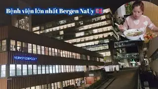 504.Buổi sáng đi làm ở bệnh viện không một bóng người. Ăn phở gà với tôm hùm xào bơ tỏi.