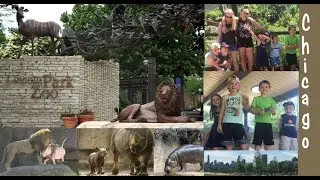 Lincoln Park Zoo🦓~Lake Michigan~Chicago🏩! Fun Facts + More!
