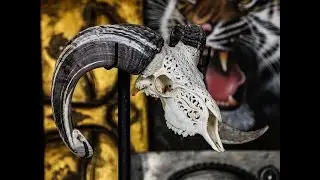 Cow Skull Art as a Unique Gift - Cow Carvings
