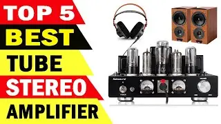Top 5 Best Tube Stereo Amplifier Review 2021