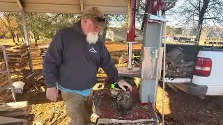 Split fire 1165V splitting a pine knot #outdoors #outdoorwork #logsplitting #firestarters 