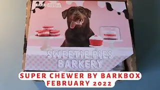Super Chewer by Barkbox: February 2022