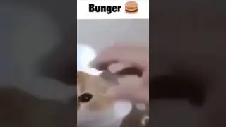 Bunger🍔