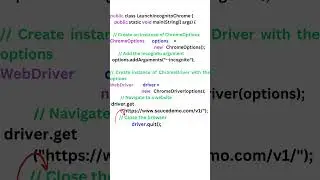 Launch the Chrome browser in incognito mode || Automation Testing || Selenium Java