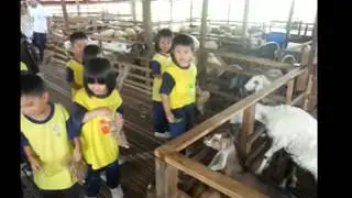 UKFarm