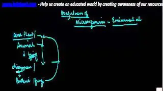 Biology - Usefulness of microorganisms - Environmental uses