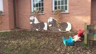 Утро на Jacky&lsquo;s Ponyhof