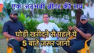 घोड़ी खरीदने से पहले ये 5 बातें ज़रूर जानो ? एक अनुभवी ब्रीडर की राय  #horse  #horsebreedingstable