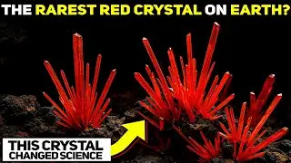 Tasmania's Fiery Jewel: The Remarkable Story of Crocoite