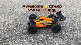 Bonzai Jubatus B416 RC Buggy - Nice Budget 1/14 Buggy