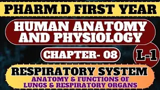 CH-08 RESPIRATORY SYSTEM | PHARM.D FIRST YEAR | HUMAN ANATOMY AND PHYSIOLOGY #pharmd #onlineclassess