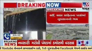 Farmers fear crop damage after unseasonal rain showers | Gir Somnath | Gujarat Unseasonal Rain