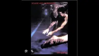 Siouxsie and the Banshees -  Metal Postcard  - #basscover 🎸🎵🎼