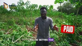 The Success of Agro Real Estate in Nigeria | How Investors Earn 10&ndash;30% From Farmland