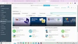 How to Install Diskspace Usage Viewer in Plesk – Step-by-Step Guide