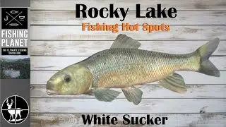 How To Catch White Sucker | Rocky Lake | Fishing Planet Hot Spots