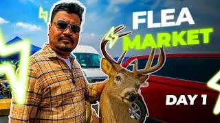 Exploring Chicago&rsquo;s Famous Flea Market 🇺🇸 | Hidden Gems & Rare Finds | Umair | Journeyz