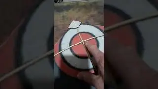 RAIA DE COMBATE