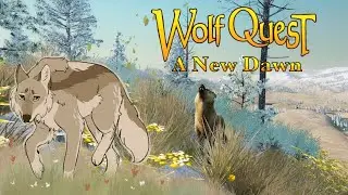 Our First DISPERSAL Pup!🦬🌼 Wolf Quest: A New Dawn Legacy #34 (Buffalo Plateau)