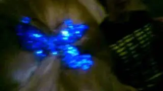 MOV00239.MP4