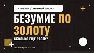 Безумие по золоту. Сколько еще расти?