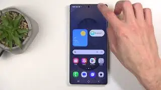 How to Activate Do Not Disturb Mode on SAMSUNG Galaxy S25 Ultra