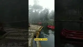 WISATA SAKURA HILLS DI TAWANGMANGU