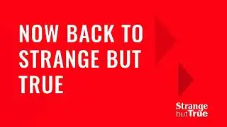 Strange but True on Rogers Xfinity TV Now Back bumper