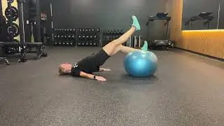 DL Concentric SL Eccentric Hamstring Curl on Stability Ball