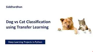 Deep Learning Projects in #python Dog vs Cat Classification #machinelearning #deeplearning #keras