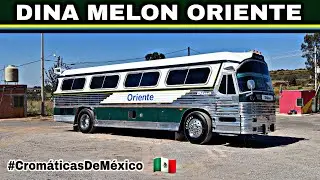 DINA OL&Iacute;MPICO MELON ORIENTE