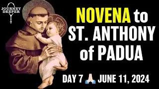 St. Anthony of Padua Novena Day 7 🙏🏻