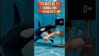 This Bite Is Too Strong for a Human Arm #shortvideo #shorts