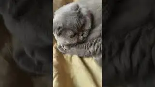 Обзор на Мусю!*изменилась ли она за всё лето?*