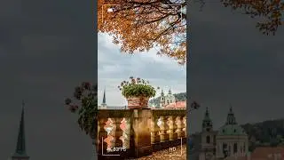 Why autumn makes Prague magical 🍂 #prague #autumn #travelinspiration