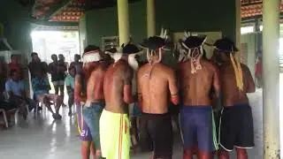 Aldeia Indígena Tingui-Botó