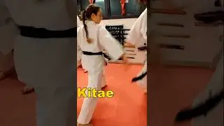 Tai Kitae in Karate #shortsvideo #karate #shotokan #shotokai #kungfu #short #shorts