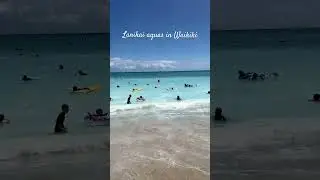🌊 Love how blue water gets during summer when waves are big 🌊 #hawaii #beach #summer