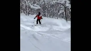 JBThree.com Snow Skiing Rusutsu 2023 - BrettA Powder Tree Skiing Heavenly Ridge