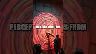 Perception Unmasked The Hidden Science of Optical Illusions