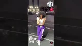 The Culture Tour Behind-the-Scenes in Fort Worth / Dallas, TX