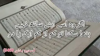 Hadees Sharif Mubarak #(صحیح بخاری 5460)*ISLAMIC HADEES*