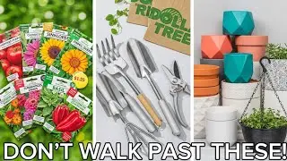 Most People Walk Past These Dollar Tree Garden Finds That&rsquo;s a Mistake (2026)